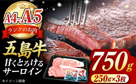 五島牛 サーロインステーキ750g（250g×3枚）五島市/肉のマルヒサ[PCV054]   A4 A5 国産牛 牛肉 ブランド牛A4 A5 国産牛 牛肉 ブランド牛 サーロイン