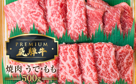 最飛び牛 飛騨牛 赤身 焼肉 500g 5等級 A5 うでorもも 牛肉 和牛 ブランド牛 プレミアム ごちそう 贅沢飛騨牛 肉の沖村 [Q1694]