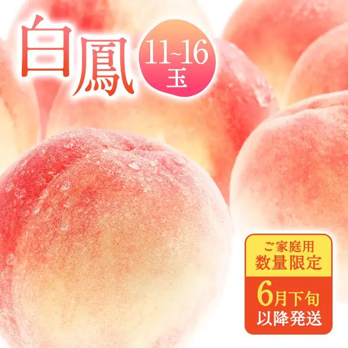 和歌山県産 白鳳 桃 11～16玉入り 訳あり ご家庭用 数量限定［2026年6月下旬以降発送］［MG91］