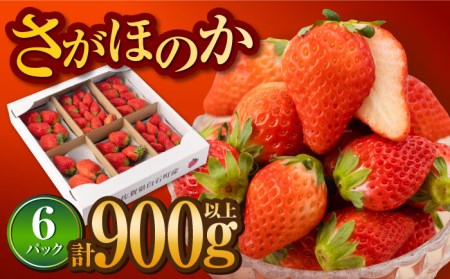 【先行予約】【2027年1月以降発送】いちご さがほのか 900g / いちご [IAA024]