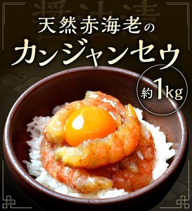 赤海老カンジャンセウ_カンジャンセウ 約 1kg 海老 韓国料理 カンジャンセウ丼 天然赤海老 特製 醤油ダレ漬け 本場 韓国 海産物 海鮮料理 惣菜 おつまみ ご飯のお供 おかず 食品 冷凍 お取り寄せ お取り寄せグルメ 福岡県 久留米市 送料無料 〔Cs324〕