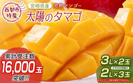 2026年発送　最高級ブランド『太陽のタマゴ』3Lサイズ2個or2Lサイズ3個【糖度15度以上】宮崎県西都市産完熟マンゴー＜18-10a＞【先行予約】