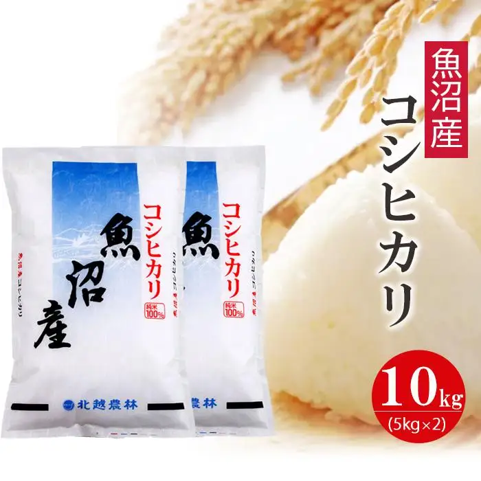 【令和7年産】 魚沼産コシヒカリ10kg  （5kg×2袋）新潟県産 ブランド米 精米 白米