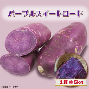【2025年11月より順次発送】2025年度産 パープルスイートロード 約5kg｜さつまいも 芋 お芋 パープルスイートロード 渋谷農園 先行予約 茨城県 行方市(BZ-9)