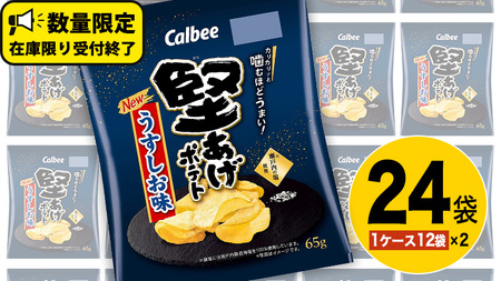 カルビー 堅あげポテト うすしお味 24袋 ( 2ケース ) 65g