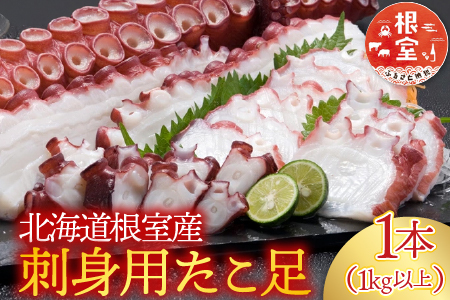 【北海道根室産】刺身用たこ足1本(1kg以上) A-14228