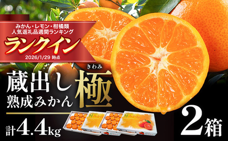 みかん 極 蔵出し熟成 2箱 みかん