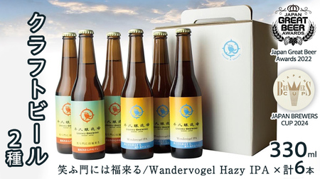 2年連続！《 ジャパン・グレートビア・アワーズ 受賞 》 クラフトビール 2種 計 6本 セット