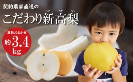 【2026年9月中旬?発送】【シャリッとおいしい！】新高梨 約3.4kg / 梨 なし  南島原市 / ふるさと企画 [SBA030]