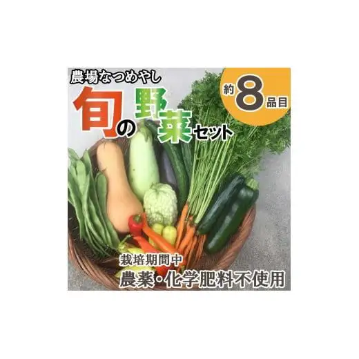 農場なつめやし　旬の野菜セット（栽培期間中、農薬・化学肥料不使用）[814]