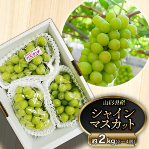 訳なしシャインマスカット4kg（約6〜8房） おまかせ露地ぶどう【4kg箱】(6~8房入り)ｼｬｲﾝﾏｽｶｯﾄ1房入り | やまがた