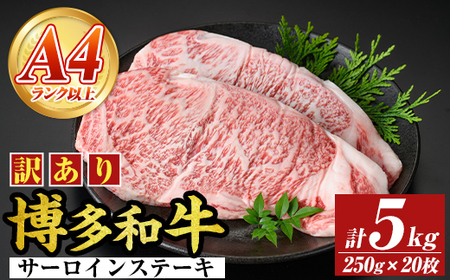 ＜訳アリ＞【A4～A5】博多和牛サーロインステーキ(計5kg・250g×20枚) 国産 九州産 福岡県産 牛肉 和牛 黒毛和牛 ステーキ お肉【MEAT PLUS】as08-020