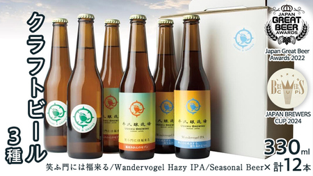 2年連続！《 ジャパン・グレートビア・アワーズ 受賞 》クラフトビール 3種 計 12本 セット