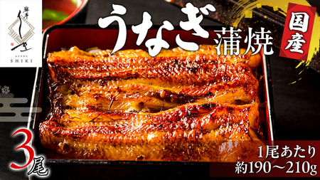 【 麻布しき 】国産 鰻 蒲焼 × 3尾