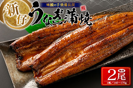 鰻 2尾 宮崎県産 B541-30-2311