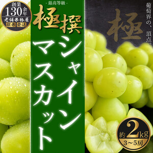 極撰！シャインマスカット　約2kg（3～5房）