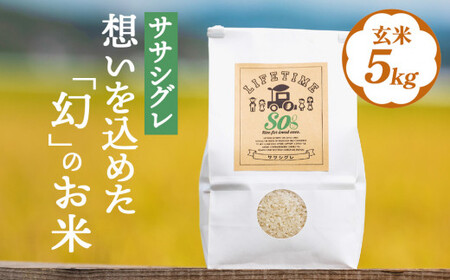 ササシグレ 玄米 5kg 米 お米 節減対象農薬不使用 化学肥料不使用 コメ こめ ささしぐれ ご飯 ごはん 主食 ライス 5キロ 産地直送 国産 宮城県 石巻市