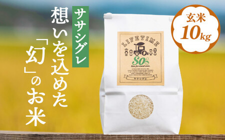 米 ササシグレ 玄米10kg 農薬不使用 化学肥料不使用 ささしぐれ お米 コメ こめ おこめ ご飯 ごはん 希少 優しい 甘み