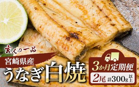 うなぎ 白焼き 2尾×3ヶ月 定期便 鰻 E209