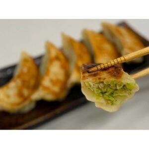旨さ爆発！特大野菜餃子！旨すぎてすみません！【食品 加工食品 人気 おすすめ 】