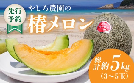 【先行予約】【2026年6月順次発送】やしろ農園の椿メロン 赤肉 緑 メロン フルーツ 果物 食べ比べ 五島市 / いきいきファーム [PCY008]