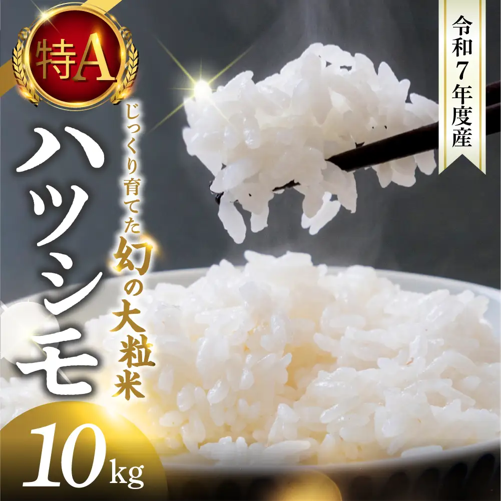 【令和7年度産】精米 ハツシモ 10kg｜ハツシモ