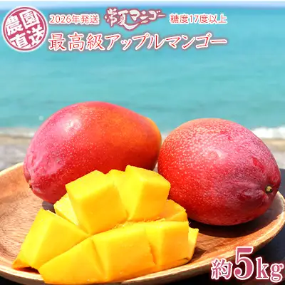 マンゴー【2026年発送】最高級 常夏アップルマンゴー！糖度17度以上 約5kg