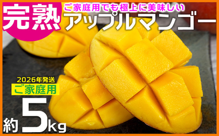 マンゴー【2026年発送】ご家庭用でも極上に美味しい完熟アップルマンゴー約5kg 農園直送！ 家庭用 