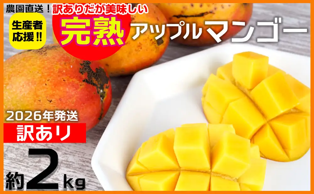 【2026年発送】生産者応援！！訳ありだが美味しい完熟アップルマンゴー約2kg 農園直送！ 訳アリ 先行予約 沖縄 甘味 糖度 濃厚 美味しい 自分用 おいしい ふるさと納税 とろける甘さ 香り アーウィン 果汁 送料無料 箱入り トロピカル フードロス わけあり ２キロ