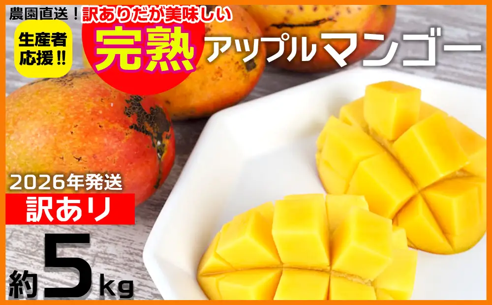 【2026年発送】生産者応援！！訳ありだが美味しい完熟アップルマンゴー約5kg 農園直送！ 訳アリ 先行予約 沖縄 甘味 糖度 濃厚 美味しい お取り寄せ おいしい ふるさと納税 とろける甘さ 香り アーウィン 果汁 送料無料 箱入り トロピカル フードロス わけあり ５キロ