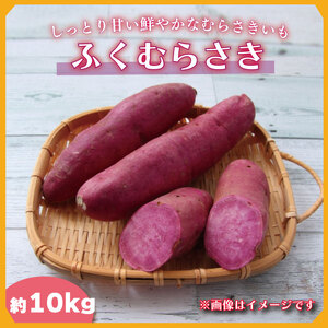 2025年度産 しっとり甘い鮮やかな紫いも ふくむらさき 約10kg｜さつまいも 芋 お芋 ふくむらさき 紫いも 渋谷農園 先行予約 茨城県 行方市(BZ-35)