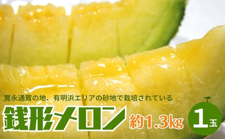 銭形メロン（アールス）1玉　約1.3kg 化粧箱入り フルーツ 果物 青肉メロン 産地直送 旬のフルーツ 香川県産 予約受付 