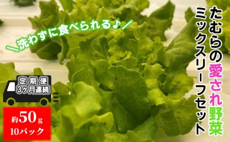 【定期便 3ヶ月連続】洗わずに食べられる！たむらの愛され野菜 ミックスリーフセット　10個