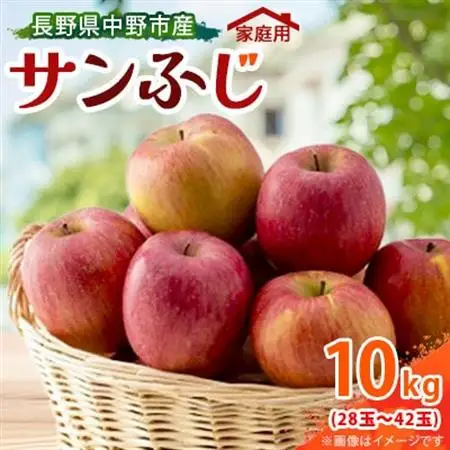 【訳あり】【先行受付】 りんご サンふじ 10kg 家庭用 長野県産【1496268】