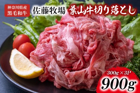 【神奈川県産 黒毛和牛 】 三浦市 の 佐藤牧場 が育てた 葉山牛 切り落とし 3P M079-006-02 肉 牛肉 冷凍