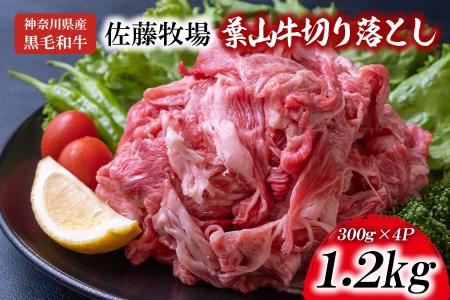 【 神奈川県産 黒毛和牛 】 三浦市 の 佐藤牧場 が育てた 葉山牛 切り落とし 4P M079-006-03 肉 牛肉 冷凍
