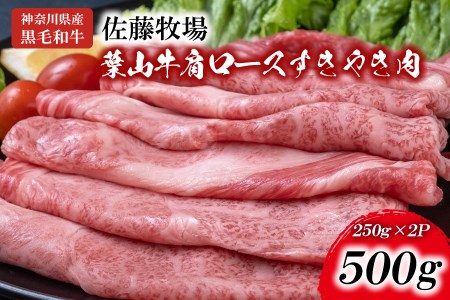 【 神奈川県産 黒毛和牛 】 三浦市 の 佐藤牧場 が育てた 葉山牛 肩ロース すき焼き肉 2P M079-007-01 肉 牛肉 冷凍