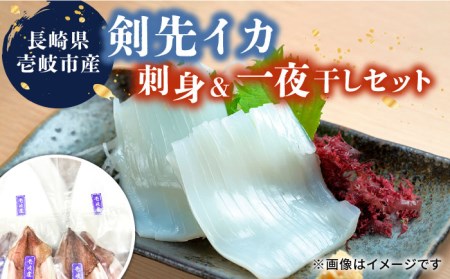 イカ 刺身 一夜干し セット  [JCC009]  剣先イカ