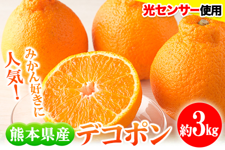 デコポン 約3kg 熊本県産 (荒尾市産含む) 不知火 柑橘 フルーツ 果物 フレッシュフーズ 《2027年3月上旬-4月中旬頃出荷》 美味しいデコポン 旬のデコポン ジューシーデコポン フルーツデコポン