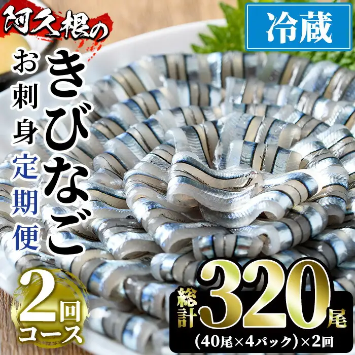 ＜定期便・全2回(冷蔵便)＞鹿児島県産！阿久根のきびなごお刺身セット(40尾×4P×2回)国産 魚介 おつまみ おかず 頒布会 青魚 子魚 小分け【椎木水産】akn054-10