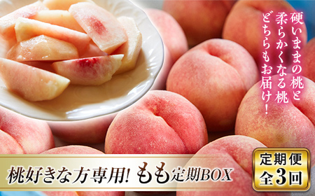 《先行予約 2026年発送》～桃好きな方専用～もも定期BOX【全3回】 もも モモ 桃 デザート フルーツ 果物 くだもの 果実 食品 山形県 FSY-2451