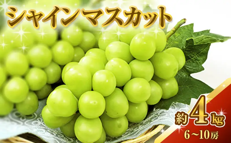 シャインマスカット 約4kg ぶどう 葡萄 フルーツ 岡山 高梁市産 2026年 先行予約 果物類 芳醇な香り 種なし 皮ごと 