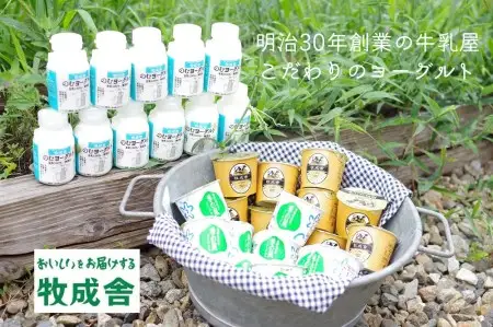 明治30年創業の牛乳屋の牛乳屋の飛騨産生乳で作る　ヨーグルト盛りだくさんセット[B0123]