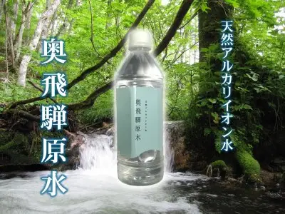 奥飛騨原水500ml × 24本 天然水 飛騨の天然水 飛騨市[B0124]