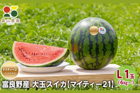 【2026夏発送】富良野産 大玉 スイカ L（6kg～）1玉【マイティ21】 北海道 ふらの すいか 西瓜 夏 フルーツ ふらの 甘い 糖度 大きい 大だま (畠山農園）