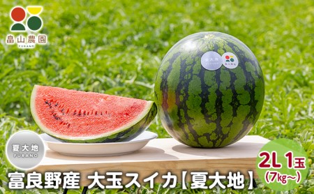 【2026夏発送】富良野産 大玉 スイカ 2L（7kg～）1玉【夏大地】北海道 ふらの すいか 西瓜 夏 フルーツ ふらの 甘い 糖度 大きい 大だま (畠山農園）