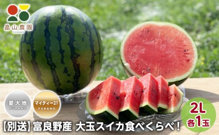 先行予約【食べ比べ】2026年夏発送 富良野産 大玉 スイカ2L 各1玉(夏大地・マイティ21) 北海道 ふらの すいか 西瓜 夏 フルーツ ふらの 甘い 糖度 大きい 大だま セット 別送  (畠山農園）