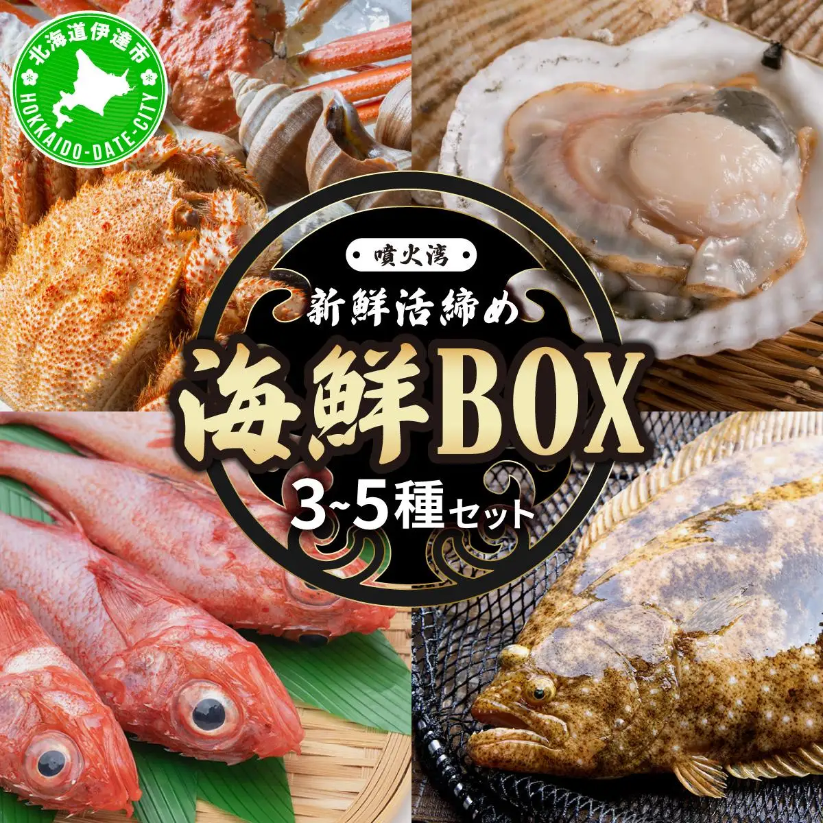 [5525-0786]北海道 伊達　噴火湾 水揚げ 今野水産 新鮮 活締め 海鮮 BOX 3～5種セット