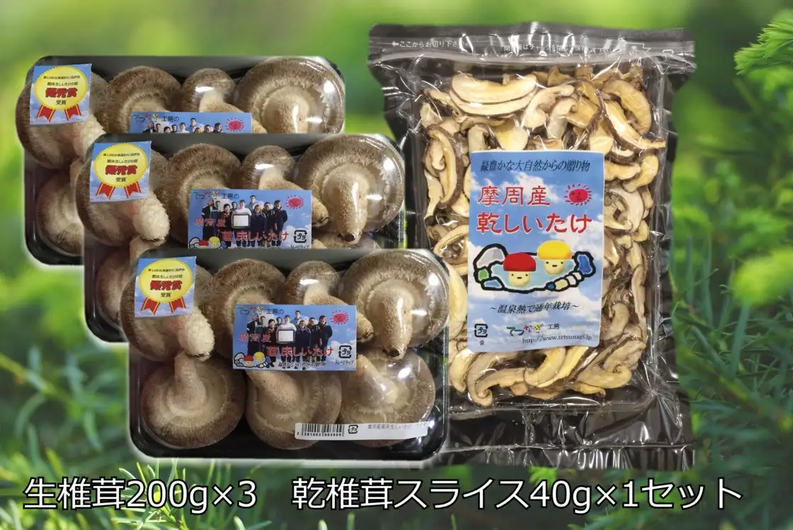 143.生しいたけ、乾しいたけセット