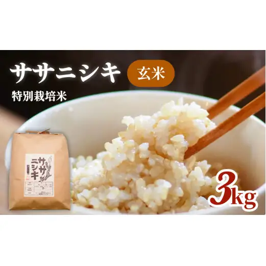 特別栽培米 ササニシキ 玄米 3kg